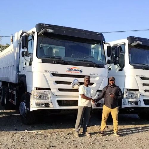 Two friends from Congo visit our truck park. And choose to purchase 2 HOWO 371 white dump trucks.