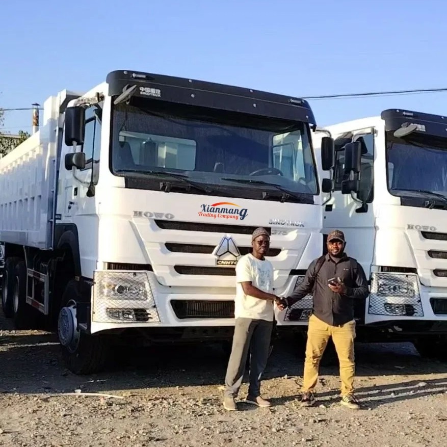 Latest company Cases about Two friends from Congo visit our truck park. And choose to purchase 2 HOWO 371 white dump trucks.